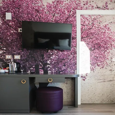 Luxury Rocopom - Front