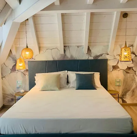 Luxury Rocopom - Front