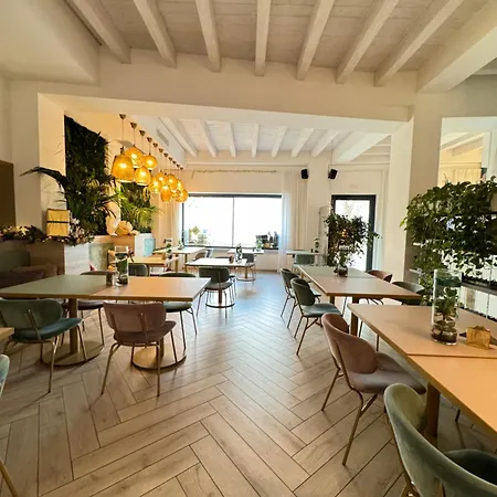 Luxury Rocopom - Front