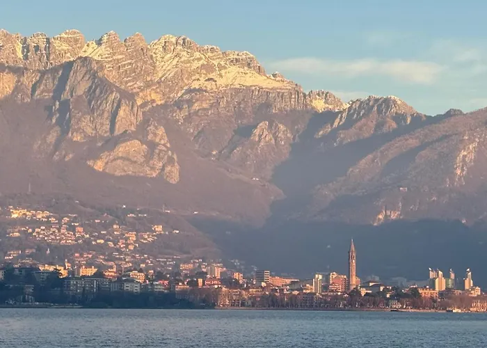 Luxury Rocopom - Front