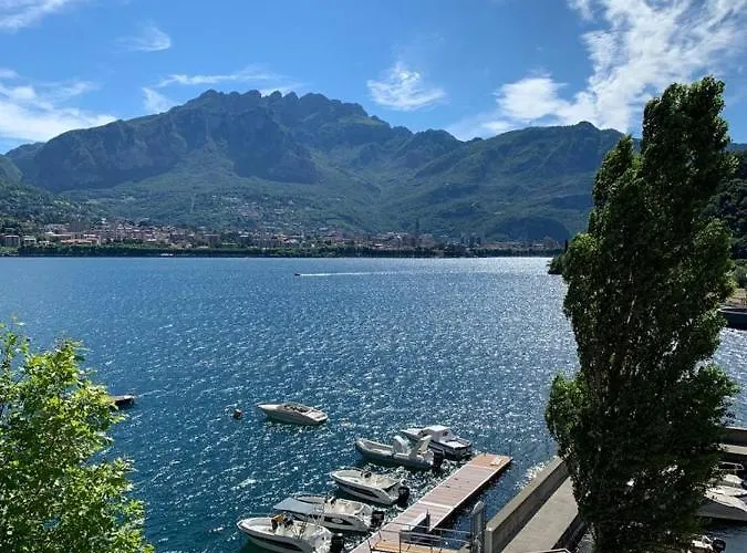 Luxury Rocopom - Front *